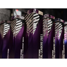 Премия Digital Leaders Awards в номинации «Портальные решения» категории «E-commerce»